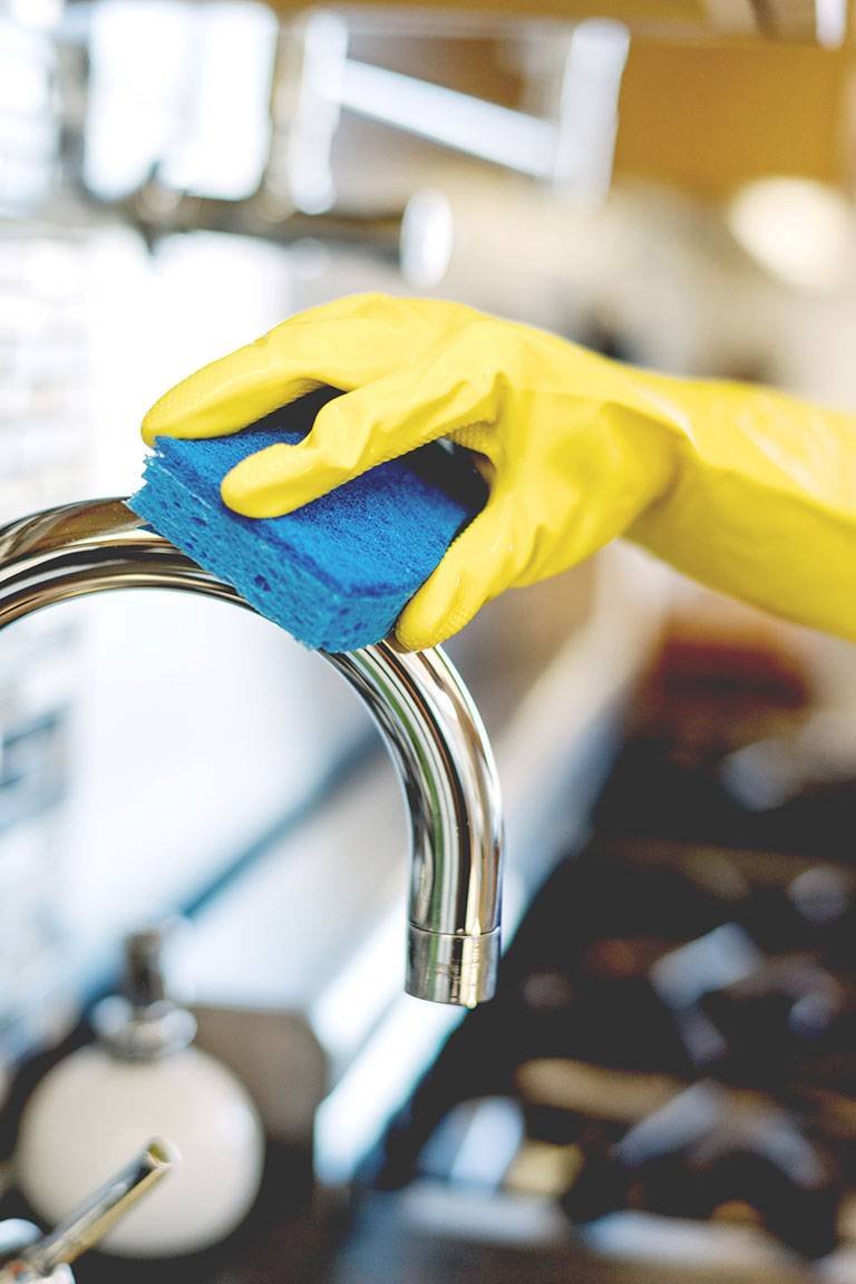 divi-cleaning-theme-5