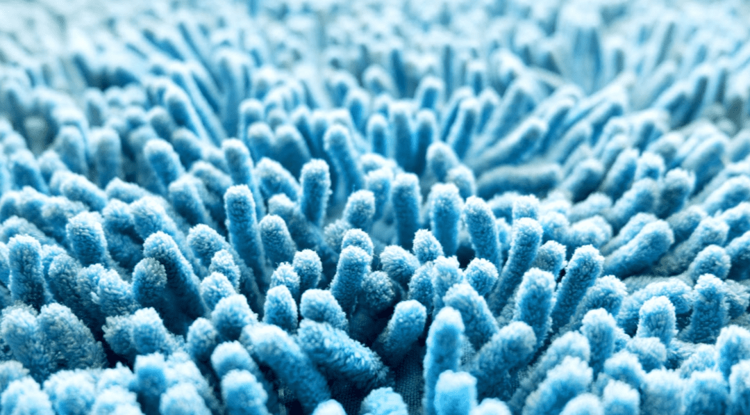 Carpet Cleaning in Tampa FL for Dust Mite Prevention